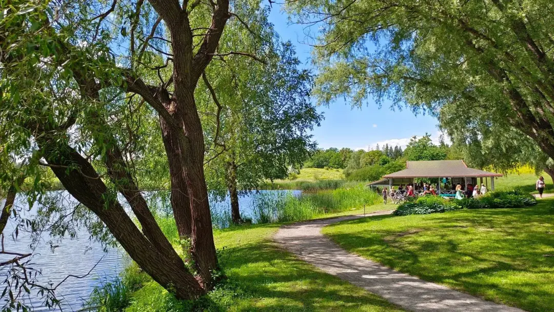 đł 5RhythmsÂź Outdoor Dancing in Nature med BodyMoves đđș
