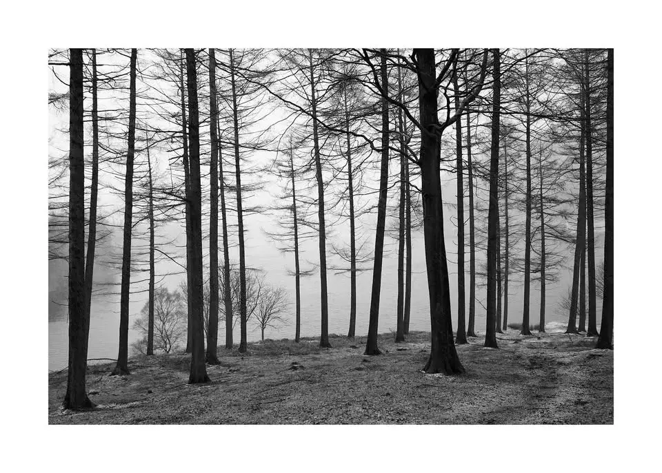 Black & White Photography, with Ian Daisley