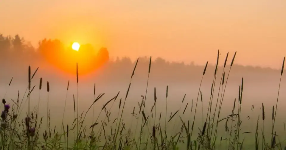 Kvällsmeditation på engelska