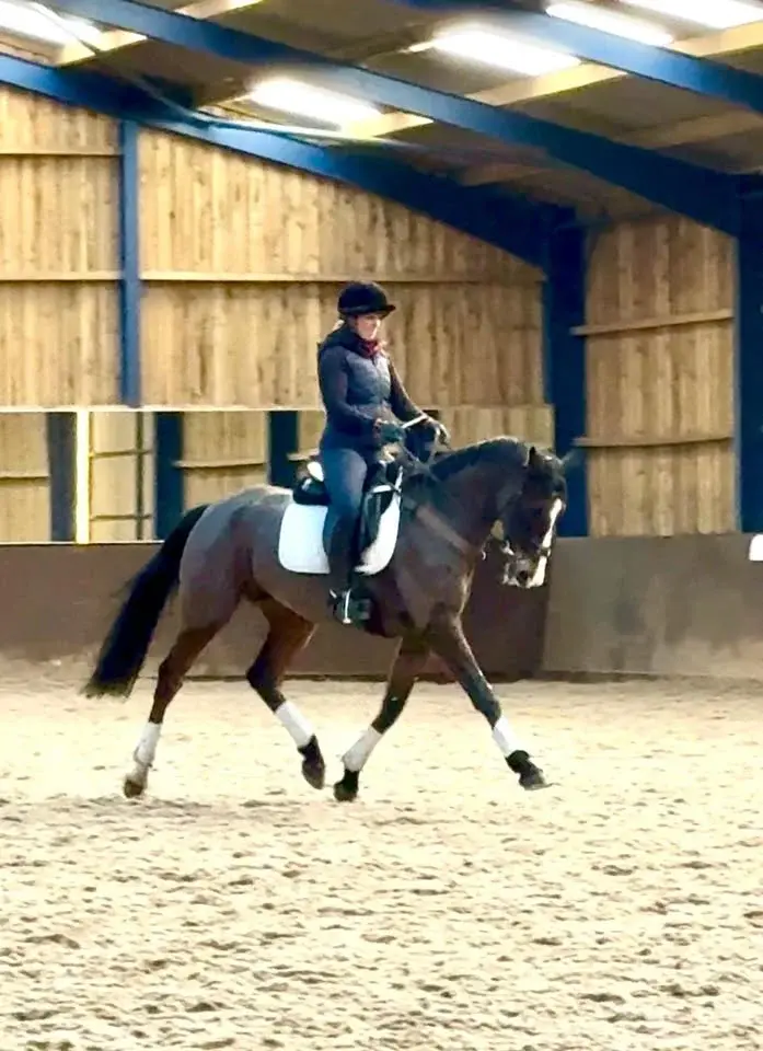 Flat work clinic with Hazel Towers