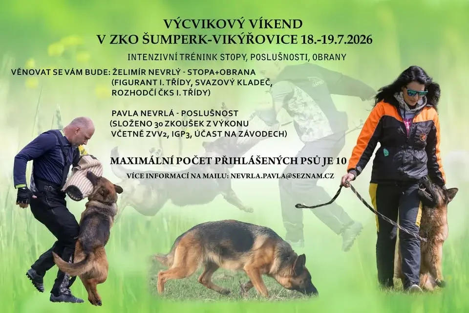 Výcvikový víkend