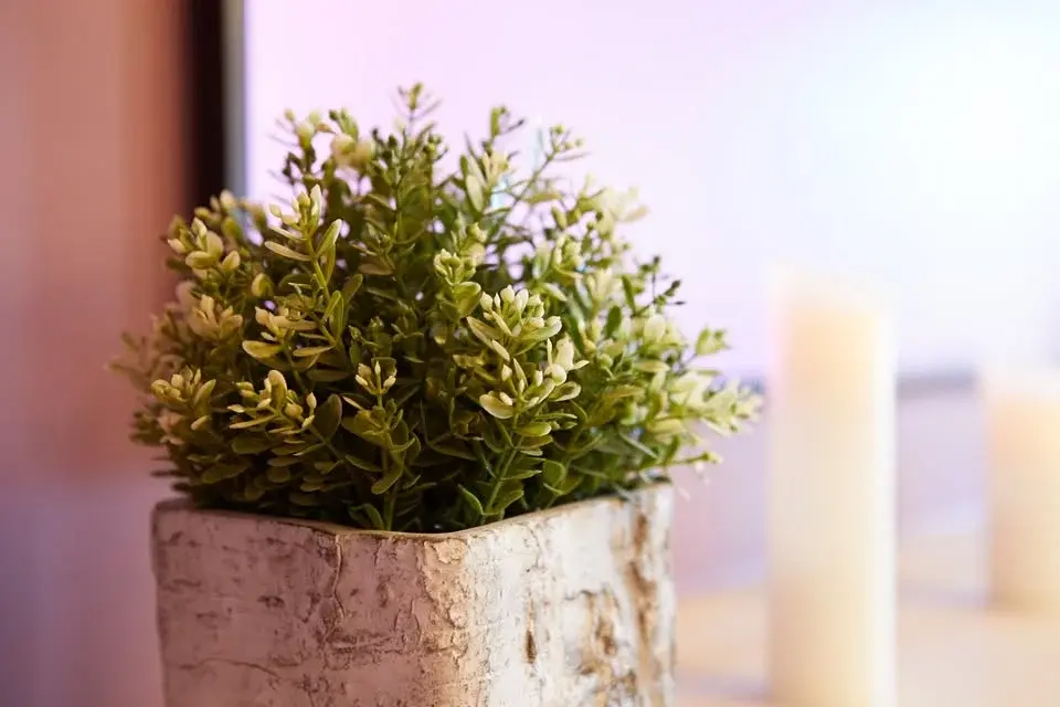 Sekawomen Supper Club - an evening with Linda Duberley