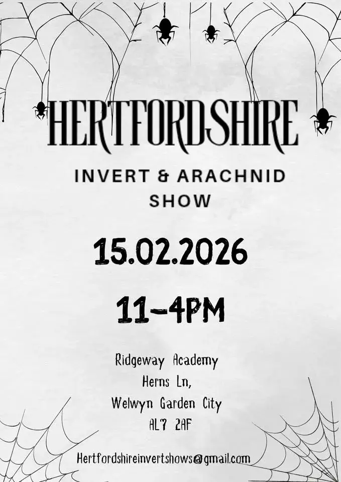 Hertfordshire Invert & Arachnid Show