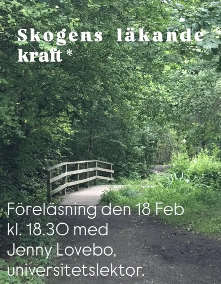 Skogens läkande kraft