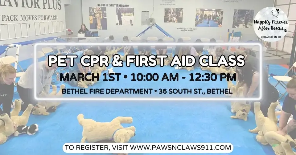 Pet CPR & First Aid Class 🐶🐱⚕️