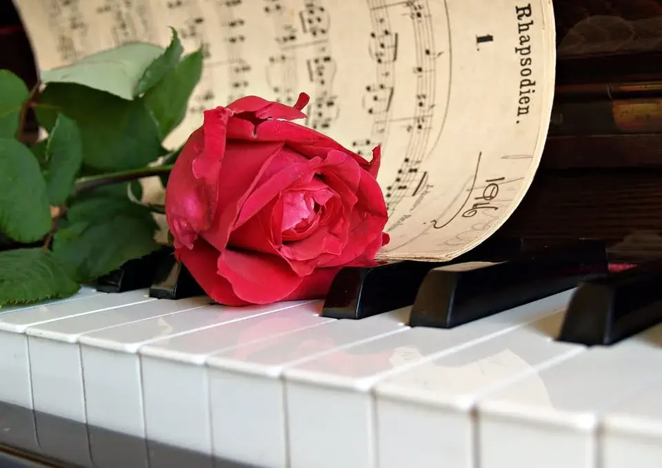 Musik till lunch i januari och februari 