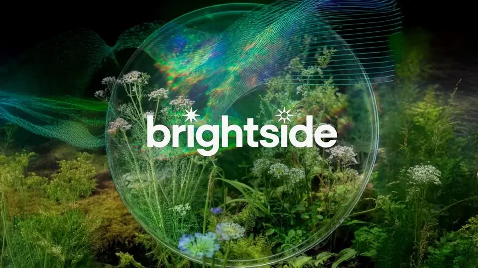 Brightside: A Winter Nature Ritual