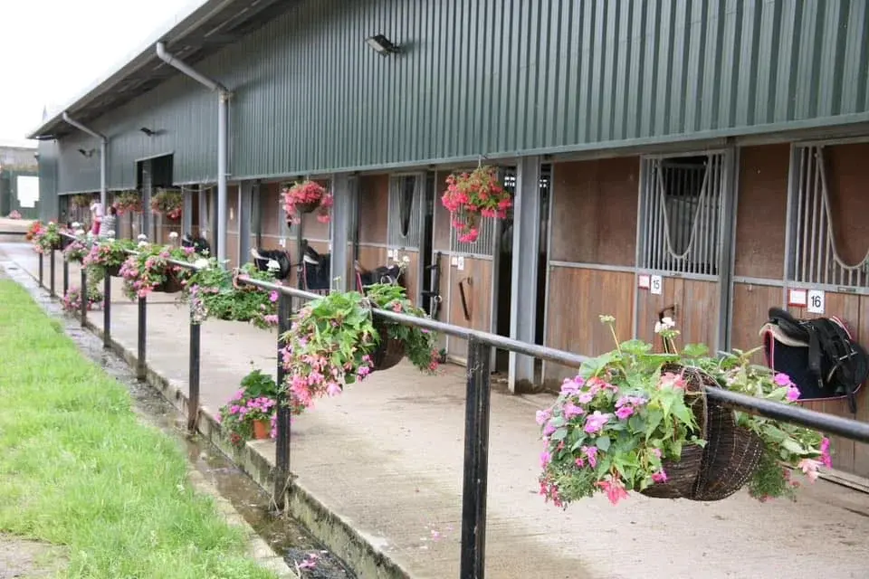 Quob Stables Clear Round Jumping