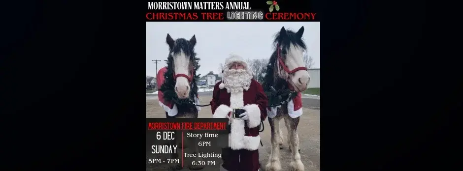 Annual Christmas Tree lighting Ceremony
