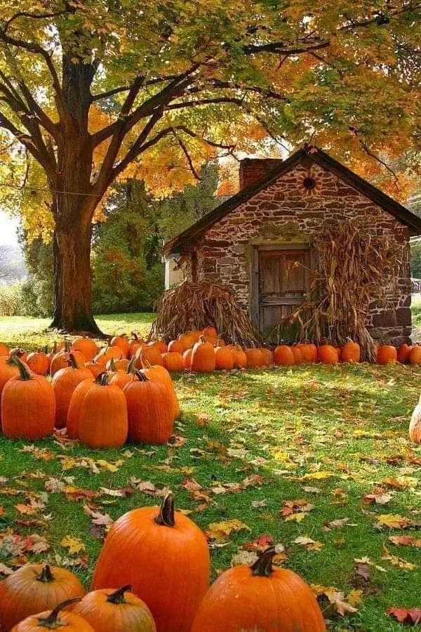 54th Annual Fall Festival in Mullica Hill 