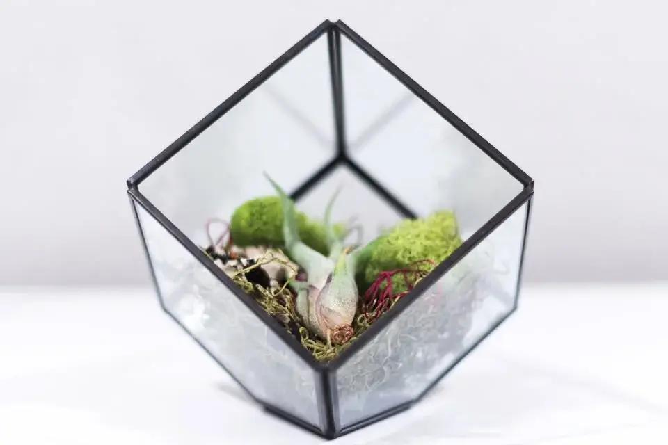 Have a Dabble Masterclass: Copper-foil terrarium