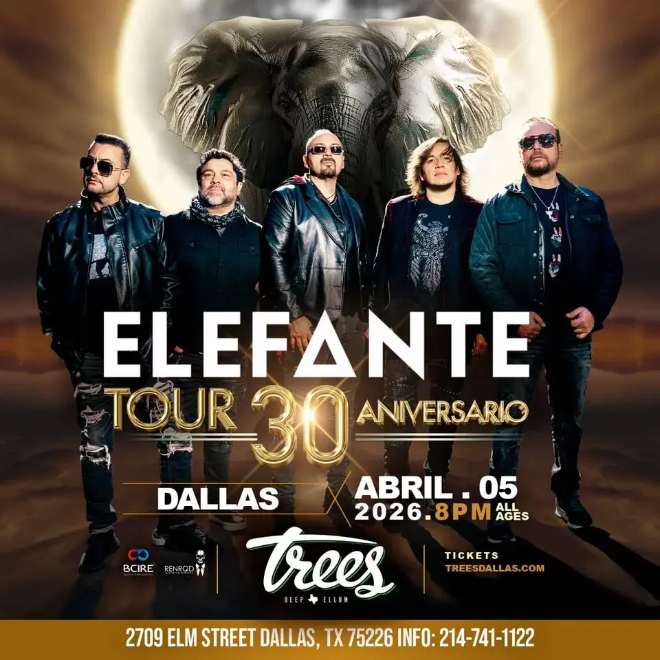 Elefante