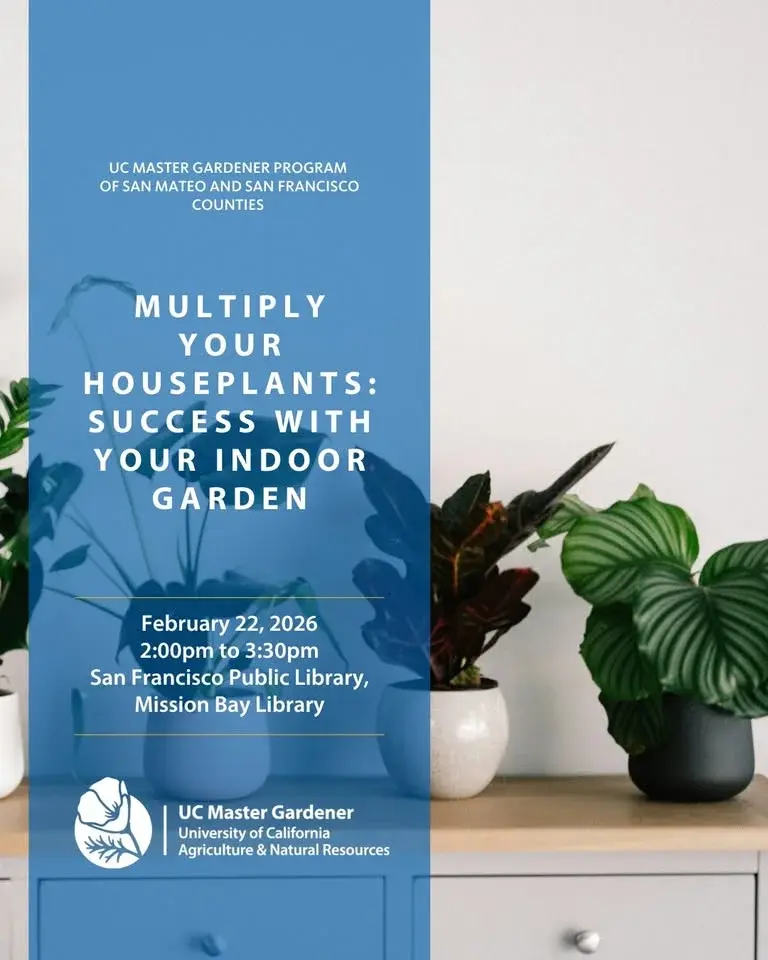 Multiply Your Houseplants: Success with Your Indoor Garden