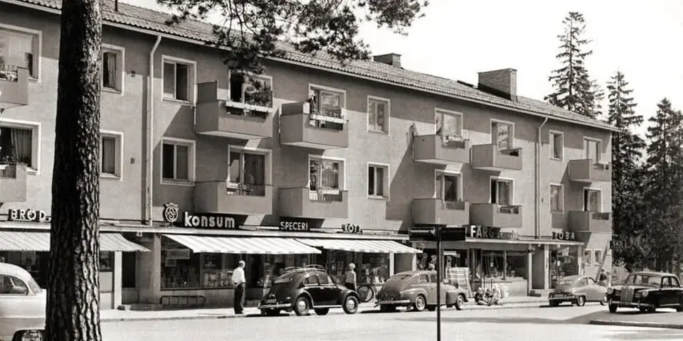 Guidad vandring i Majroskogen