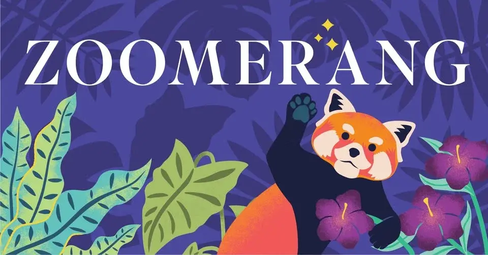 Zoomerang