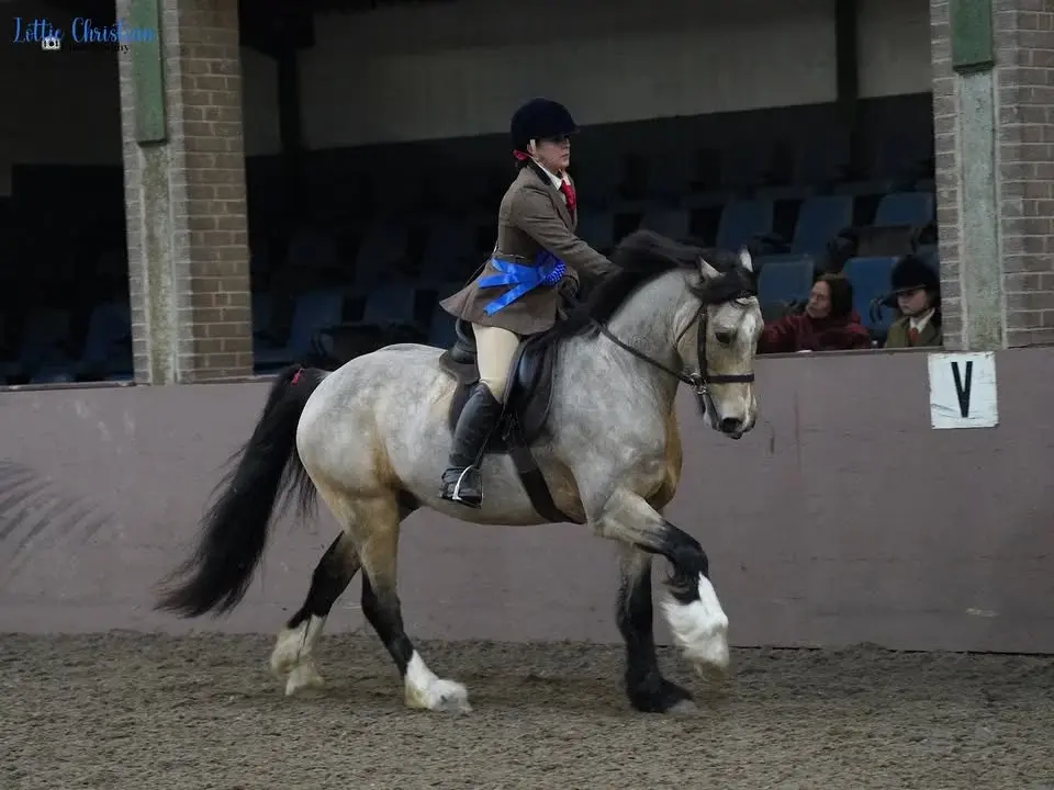 Bold Heath Summer Show - 14th June 2026