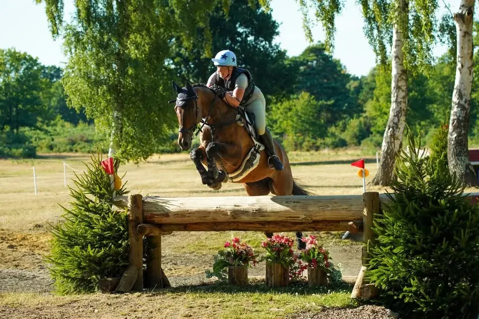TWESELDOWN EVENTING / PRE REGIONAL CAMP