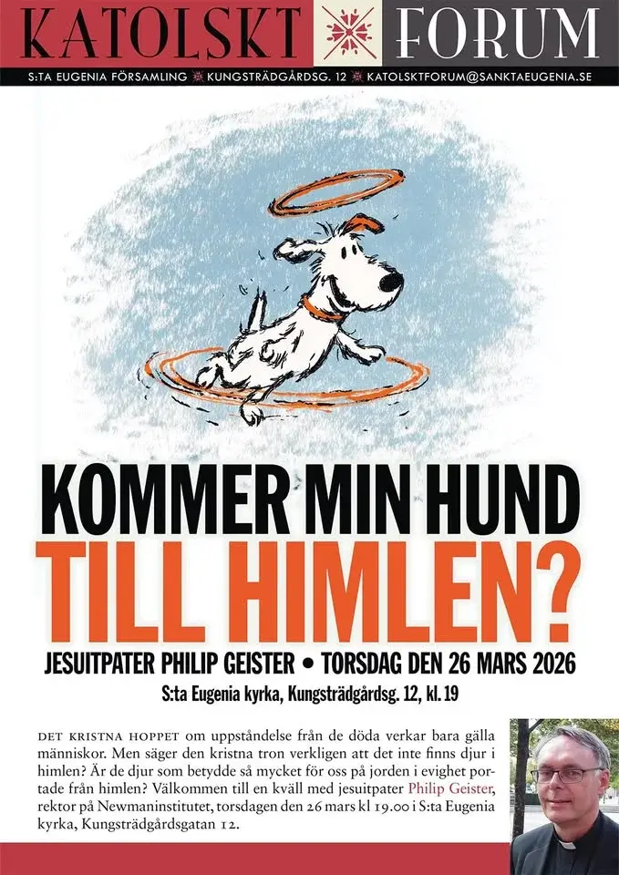 Kommer min hund till himlen? 