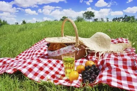 Picnic in the park🧺