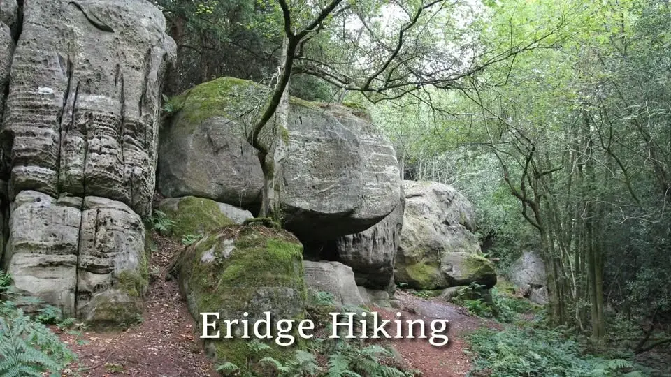 Hiking: Eridge Circular – Sat 14 Feb 2026