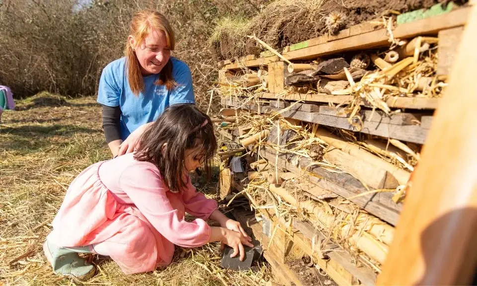Community Volunteering: Bug B&B Bonanza