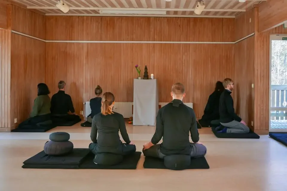 ORDINARY MIND STOCKHOLM - sesshin 2026 with Zen teacher Karen Terzano