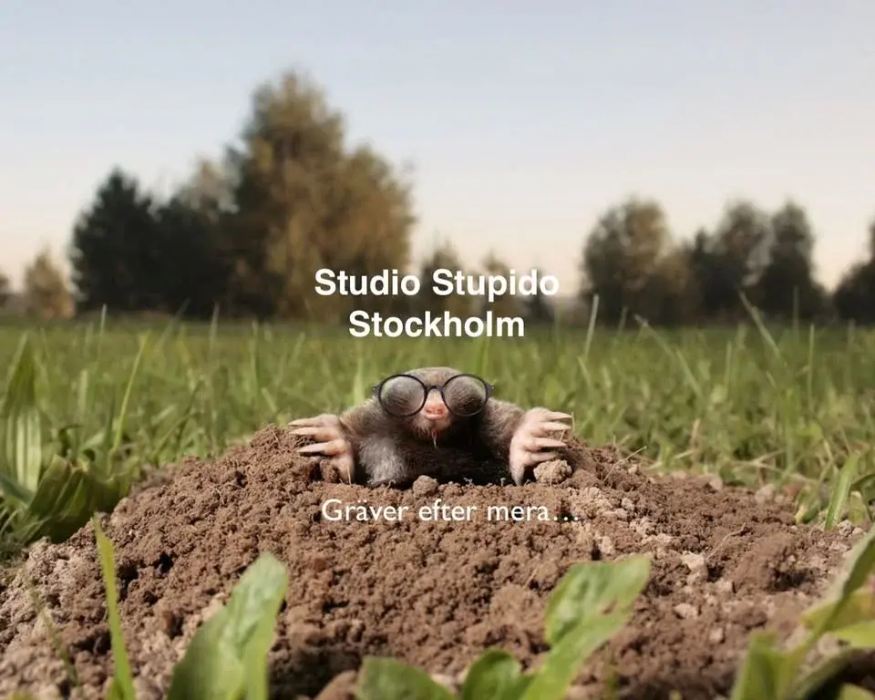 Inte ett moln så långt ögat kan nå