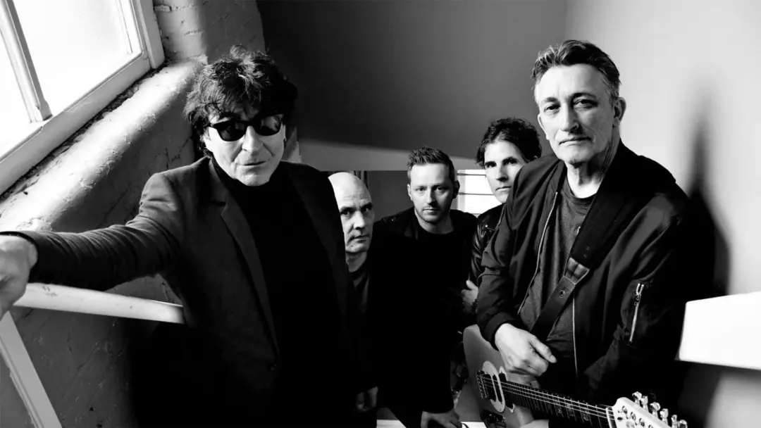 Chameleons Arctic Moon Tour