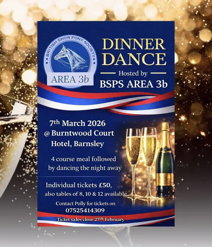 Bsps Area 3b Dinner dance 
