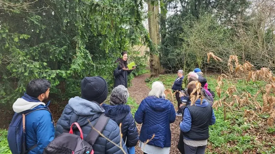 Tree Folklore and Myth Tour (Morning)