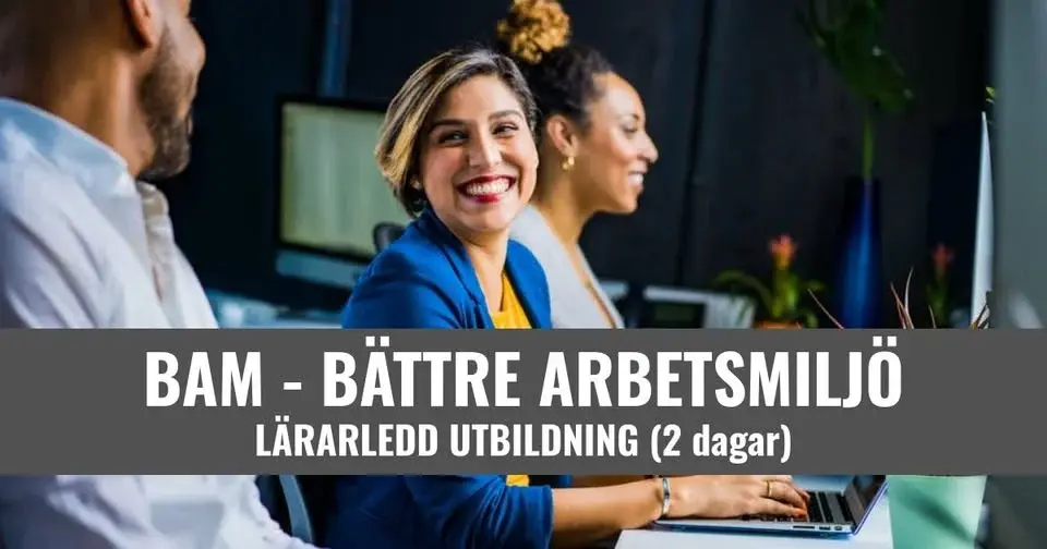BAM - Bättre Arbetsmiljö - Stockholm - 8 900 SEK/ pers.