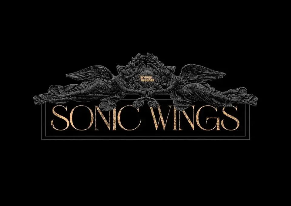 Sonic Wings Festival 2026