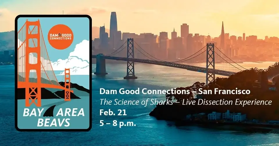Dam Good Connections Bay Area: The Science of Sharks – Dissection Experience