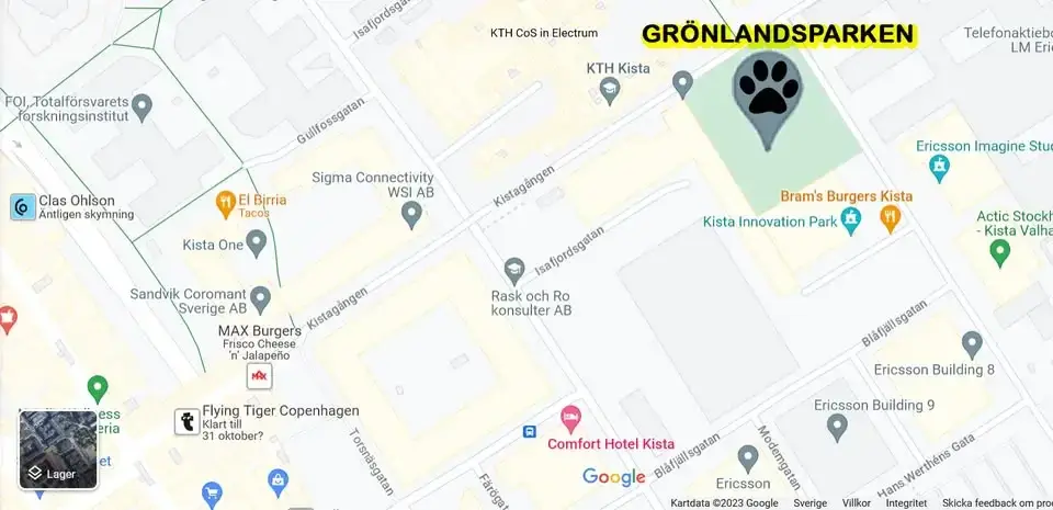 đ GrupptrĂ€ning assistanshund