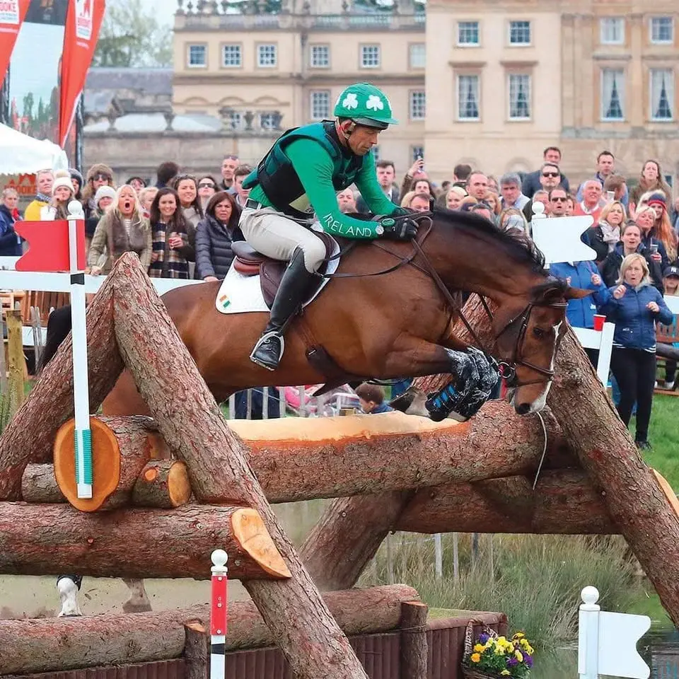 Show Jump a Course Clinic with Jonty Evans
