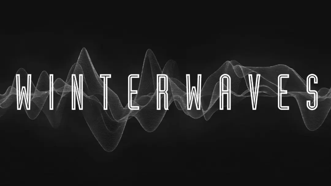 Winterwaves 2026 : An Electronic Festival
