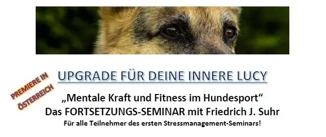Upgrade für deine innere Lucy - Mentale Kraft und Fitness im Hundesport