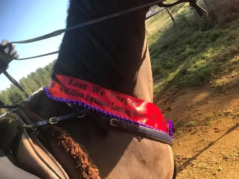 Purple Poppy Ride