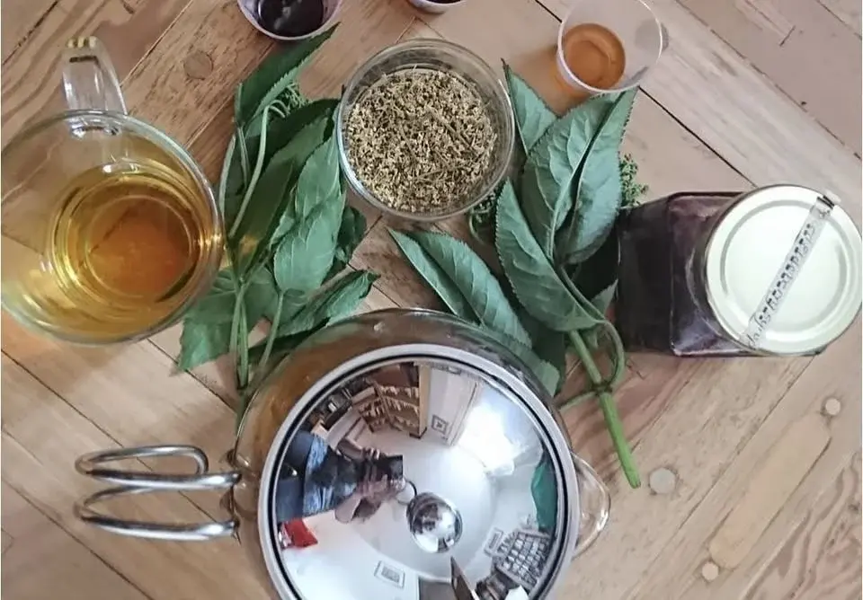 Hannah Sylvester Medicinal Herbalist (Guest speaker)