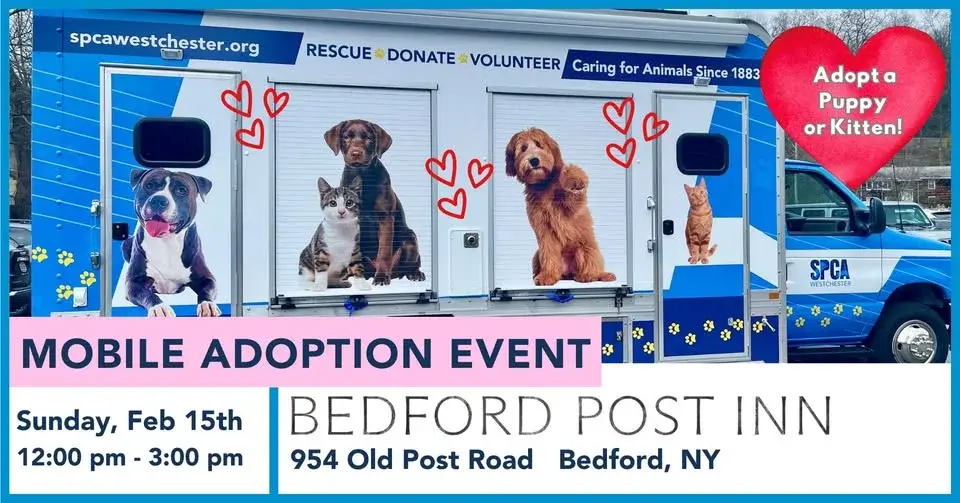 Mobile Adoption Event- Bedford Post Inn