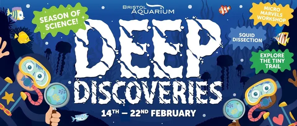 Deep Discoveries at Bristol Aquarium