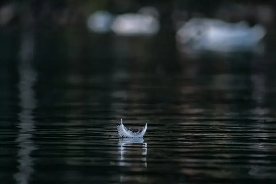 Temaretreat - Ljudet av tystnad