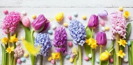 Spring Renewal - A Magical Afternoon for Women with Alexandra Jones & Angie Latham