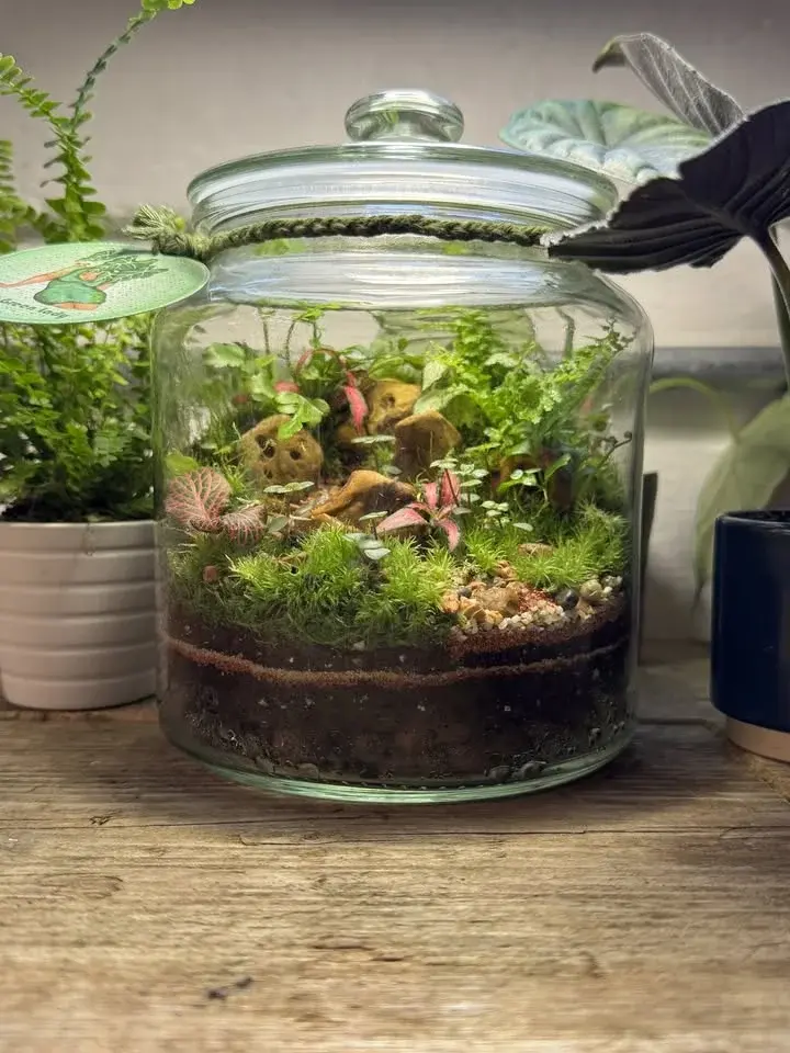 Create a Jar Terrarium
