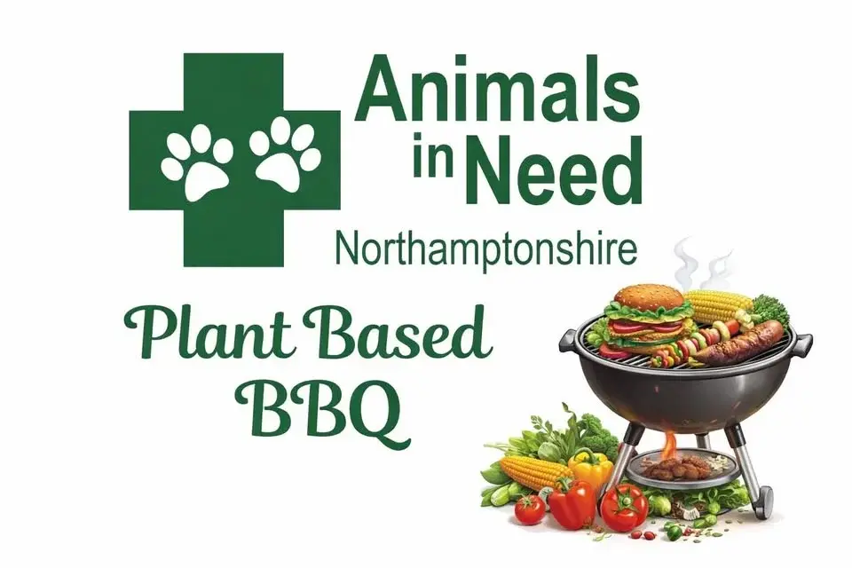 Plant based bbq
