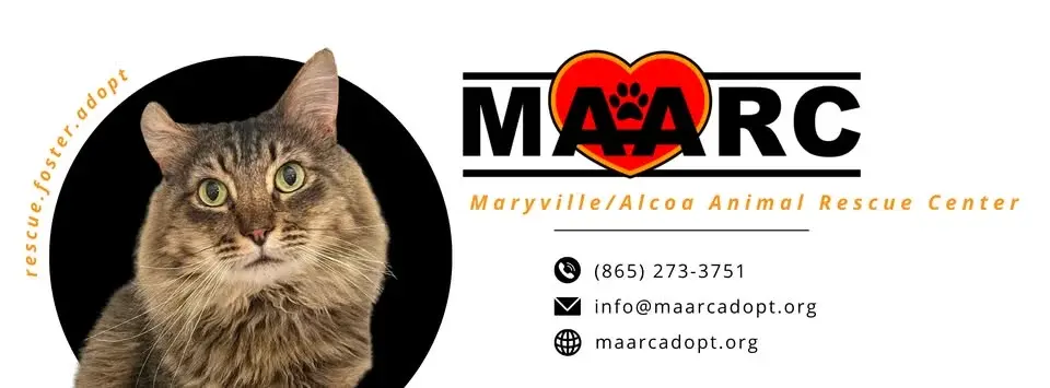 6th Annual MAARC Masquerade Ball and Silent Auction