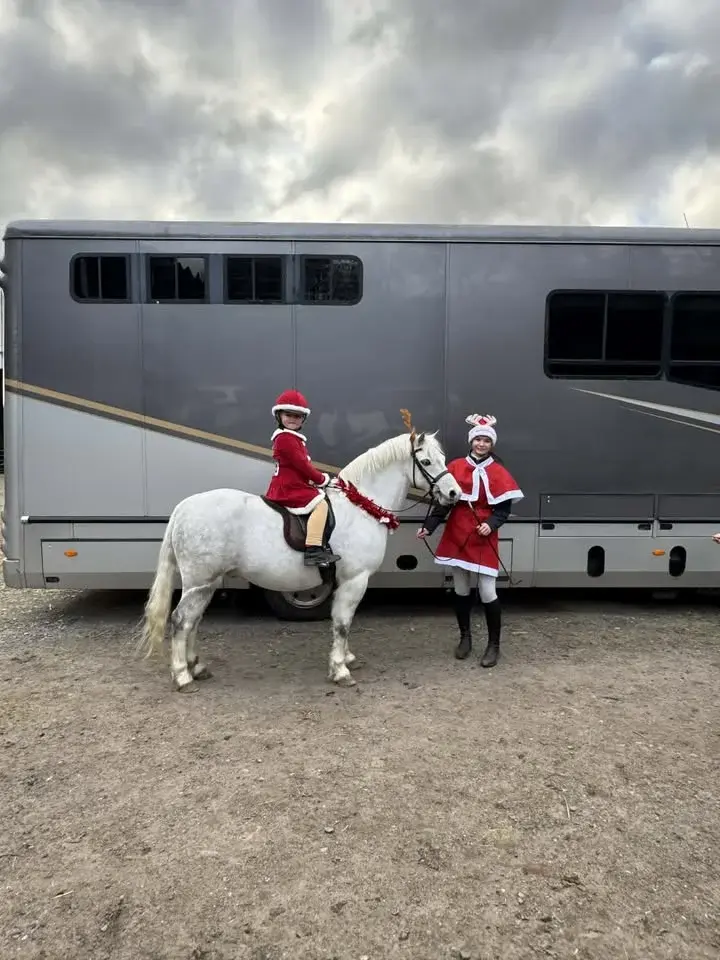 Christmas Showing Show 
