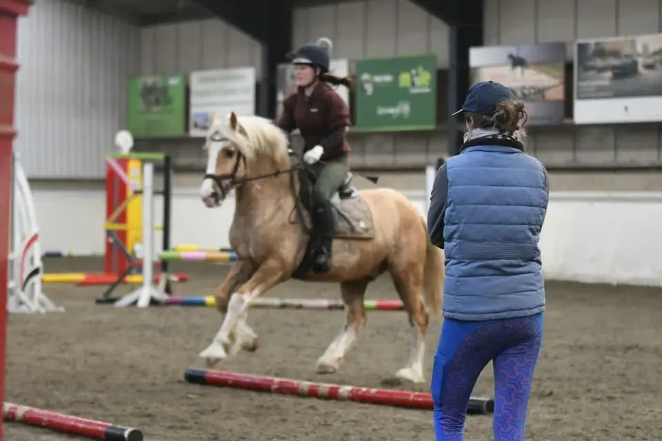 Sc Equestrian Feb Saturday Crofton poles and jumps