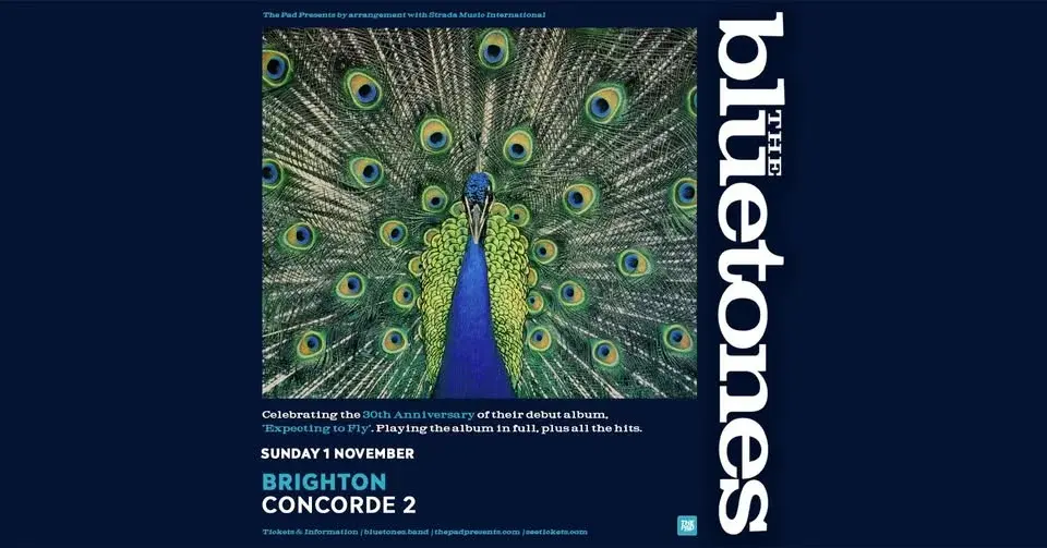 The Bluetones | Concorde 2, Brighton - Expecting To Fly 30th Anniversary Tour