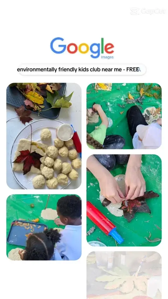 Eco Explorers